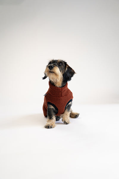 Winterkleidung für kleine Hunde – Teddy Long Shirt in Braun