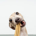 Bild in Galerie-Betrachter laden, Leni Lecker's Olaf - Dental Sticks für Hunde