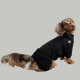 Bild in Galerie-Betrachter laden, Overall Dackel Schwarz – hochwertige Hundekleidung für Dackel, Windspiele und Windhunde von Karma Hund Berlin – Ganzkörperansicht am Hund