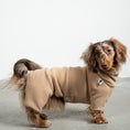 Bild in Galerie-Betrachter laden, Overall Dackel Camel – Hundepullover und Hundekleidung für Dackel und Windhunde – Seitenansicht am Hund