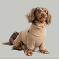 Bild in Galerie-Betrachter laden, Overall Dackel Camel – Close-up am Hund – hochwertige Hundekleidung von Karma Hund