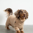 Bild in Galerie-Betrachter laden, Overall Dackel Camel – Hund in Bewegung – bequeme Hundekleidung für Dackel