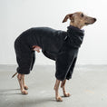Bild in Galerie-Betrachter laden, Overall Iggy Anthrazit – Hundepullover und Hundekleidung für Dackel und Windspiele – Seitenansicht am Hund