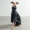 Bild in Galerie-Betrachter laden, Overall Iggy Anthrazit – hochwertige Hundekleidung für Dackel, Windspiele und Windhunde von Karma Hund Berlin – Ganzkörperansicht am Hund