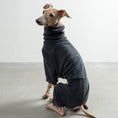 Bild in Galerie-Betrachter laden, Overall Iggy Anthrazit – Hundekleidung für Dackel, Windspiele und Whippets – Rückenansicht
