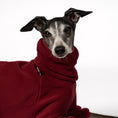 Bild in Galerie-Betrachter laden, Overall Iggy Bordeaux – Close-up am Hund – hochwertige Hundekleidung von Karma Hund
