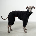 Bild in Galerie-Betrachter laden, Overall Iggy Schwarz – hochwertige Hundekleidung für Dackel, Windspiele und Windhunde von Karma Hund Berlin – Ganzkörperansicht am Hund