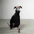 Bild in Galerie-Betrachter laden, Overall Iggy Schwarz – ergonomischer Schnitt für Dackel und Windspiele – handgefertigte Hundekleidung