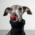Bild in Galerie-Betrachter laden, Overall Iggy Schwarz – Close-up am Hund – hochwertige Hundekleidung von Karma Hund