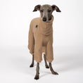 Bild in Galerie-Betrachter laden, Overall Iggy Camel – Close-up am Hund – hochwertige Hundekleidung von Karma Hund