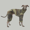 Bild in Galerie-Betrachter laden, Overall Iggy Camouflage – hochwertige Hundekleidung für Dackel, Windspiele und Windhunde von Karma Hund Berlin – Ganzkörperansicht am Hund