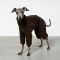Bild in Galerie-Betrachter laden, Overall Iggy Espresso – Hundepullover und Hundekleidung für Dackel und Windspiele – Seitenansicht am Hund