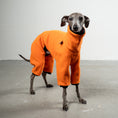 Bild in Galerie-Betrachter laden, Overall Iggy Orange – Ganzkörperansicht – stilvolle Hundekleidung für Dackel und Italienische Windspiele