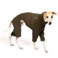 Bild in Galerie-Betrachter laden, OVERALL Windhund Dark Olive