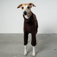 Bild in Galerie-Betrachter laden, Overall Windhund Espresso – Close-up am Hund – hochwertige Hundekleidung von Karma Hund