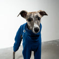 Bild in Galerie-Betrachter laden, OVERALL Windhund Navy