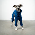 Bild in Galerie-Betrachter laden, OVERALL Windhund Navy