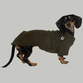Bild in Galerie-Betrachter laden, Pullover Dackel Dark Olive – hochwertige Hundekleidung für Dackel, Windspiele und Windhunde von Karma Hund Berlin – Ganzkörperansicht am Hund