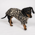 Bild in Galerie-Betrachter laden, PULLOVER Dackel Leo