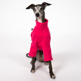 Bild in Galerie-Betrachter laden, Pullover Iggy Magenta – optimale Passform für Windhunde, Windspiele und Dackel