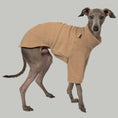 Bild in Galerie-Betrachter laden, Pullover Iggy Camel – hochwertige Hundekleidung für Dackel, Windspiele und Windhunde von Karma Hund Berlin – Ganzkörperansicht am Hund