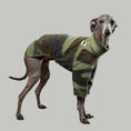 Bild in Galerie-Betrachter laden, Pullover Iggy Camouflage – hochwertige Hundekleidung für Dackel, Windspiele und Windhunde von Karma Hund Berlin – Ganzkörperansicht am Hund
