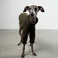 Bild in Galerie-Betrachter laden, Pullover Iggy Dark Olive – ergonomischer Schnitt für Dackel und Windspiele – handgefertigte Hundekleidung