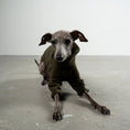 Bild in Galerie-Betrachter laden, Pullover Iggy Dark Olive – optimale Passform für Windhunde, Windspiele und Dackel