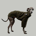 Bild in Galerie-Betrachter laden, Pullover Iggy Dark Olive – hochwertige Hundekleidung für Dackel, Windspiele und Windhunde von Karma Hund Berlin – Ganzkörperansicht am Hund