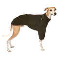Bild in Galerie-Betrachter laden, Pullover Windhund Dark Olive – Hundepullover und Hundekleidung für Dackel und Windhunde – Seitenansicht am Hund