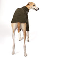 Bild in Galerie-Betrachter laden, Pullover Windhund Dark Olive – Hundekleidung für Dackel, Windspiele und Whippets – Rückenansicht