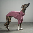Bild in Galerie-Betrachter laden, Pullover Windhund Mulberry – hochwertige Hundekleidung für Dackel, Windspiele und Windhunde von Karma Hund Berlin – Ganzkörperansicht am Hund