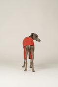 Bild in Galerie-Betrachter laden, Italienisches Windspiel trägt gemütlichen Pullover in Terracotta aus Fleece