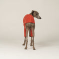 Bild in Galerie-Betrachter laden, Italienisches Windspiel trägt gemütlichen Pullover in Terracotta aus Fleece