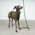 Bild in Galerie-Betrachter laden, SOFTSHELL HUNDEGESCHIRR Iggy Dark Olive