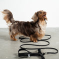 Bild in Galerie-Betrachter laden, Softshell Hundegeschirr Dackel Schwarz – handgefertigtes Hundegeschirr aus der Berliner Manufaktur Karma Hund
