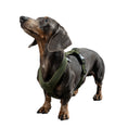 Bild in Galerie-Betrachter laden, SOFTSHELL HUNDEGESCHIRR Dackel Dark Olive