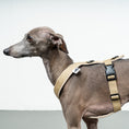 Bild in Galerie-Betrachter laden, SOFTSHELL HUNDEGESCHIRR Iggy Sand