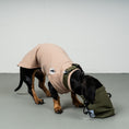 Bild in Galerie-Betrachter laden, Softshell Snackbeutel Dark Olive