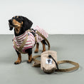 Bild in Galerie-Betrachter laden, Softshell Snackbeutel Sand