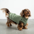 Bild in Galerie-Betrachter laden, Sweat Shirt Dackel Matcha – hochwertige Hundekleidung für Dackel, Windspiele und Windhunde von Karma Hund Berlin – Ganzkörperansicht am Hund