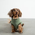 Bild in Galerie-Betrachter laden, Sweat Shirt Dackel Matcha – Detailaufnahme Stoff und hochwertige Verarbeitung – Karma Hund Berlin