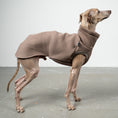 Bild in Galerie-Betrachter laden, SWEAT SHIRT Iggy Mokka