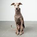 Bild in Galerie-Betrachter laden, SWEAT SHIRT Iggy Mokka
