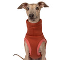 Bild in Galerie-Betrachter laden, Sweat Shirt Iggy Terracotta – optimale Passform für Windhunde, Windspiele und Dackel