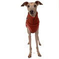 Bild in Galerie-Betrachter laden, Sweat Shirt Iggy Terracotta – Close-up am Hund – hochwertige Hundekleidung von Karma Hund