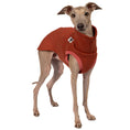 Bild in Galerie-Betrachter laden, Sweat Shirt Iggy Terracotta – hochwertige Hundekleidung für Dackel, Windspiele und Windhunde von Karma Hund Berlin – Ganzkörperansicht am Hund