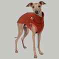 Bild in Galerie-Betrachter laden, Sweat Shirt Iggy Terracotta – hochwertige Hundekleidung für Dackel, Windspiele und Windhunde von Karma Hund Berlin – Ganzkörperansicht am Hund