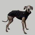 Bild in Galerie-Betrachter laden, SWEAT SHIRT Iggy Schwarz
