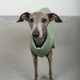 Bild in Galerie-Betrachter laden, SWEAT SHIRT Iggy Matcha